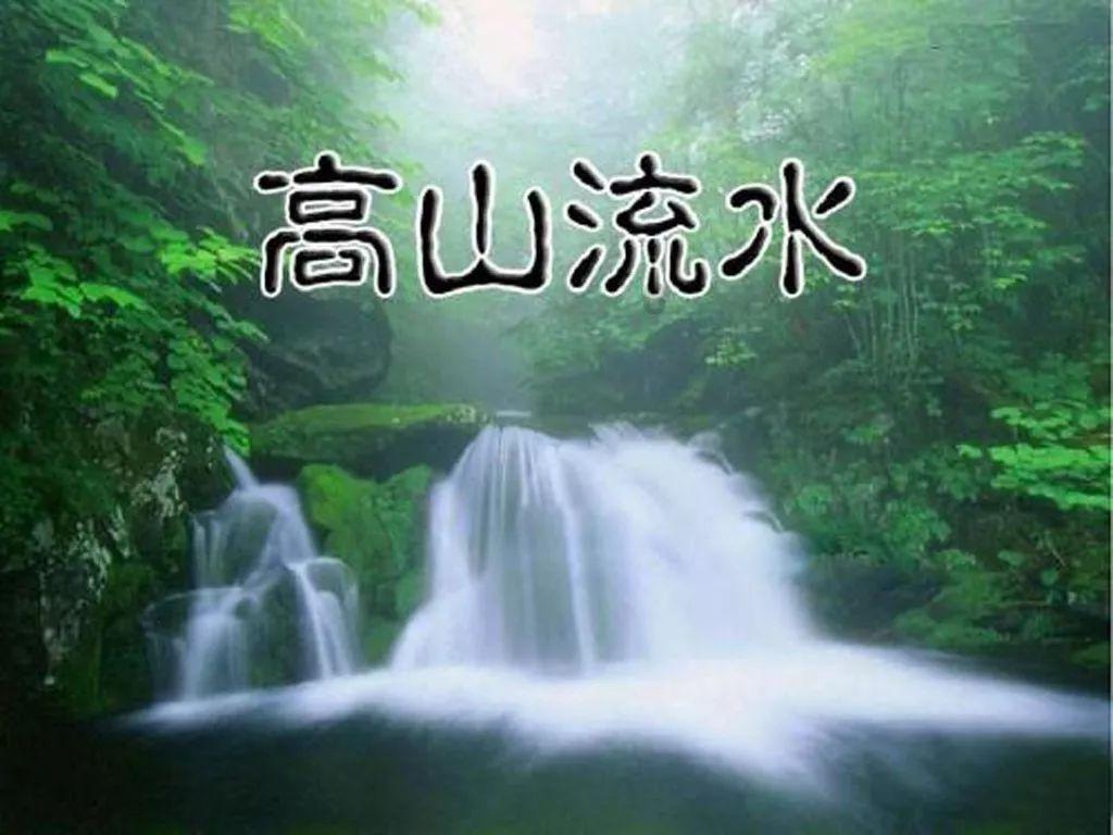 救援大嘴鸟